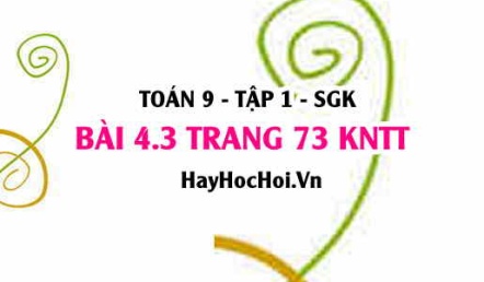 Bài 4.3 trang 73 Toán 9 tập 1 Kết nối tri thức